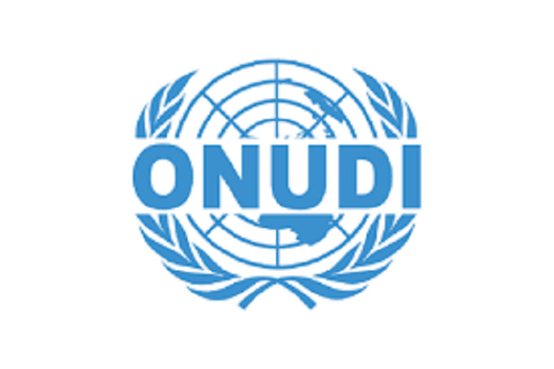 ONUDI